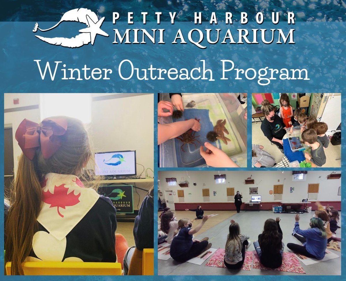The Mini Aquarium is hitting the road once again to deliver our Winter Outreach Program! 
Explore the world of pinnipeds and cephalopods with this hour-long program, consisting of an educational segment and LIVE animals! 
For more info please contact bookingsminiaqua@gmail.com