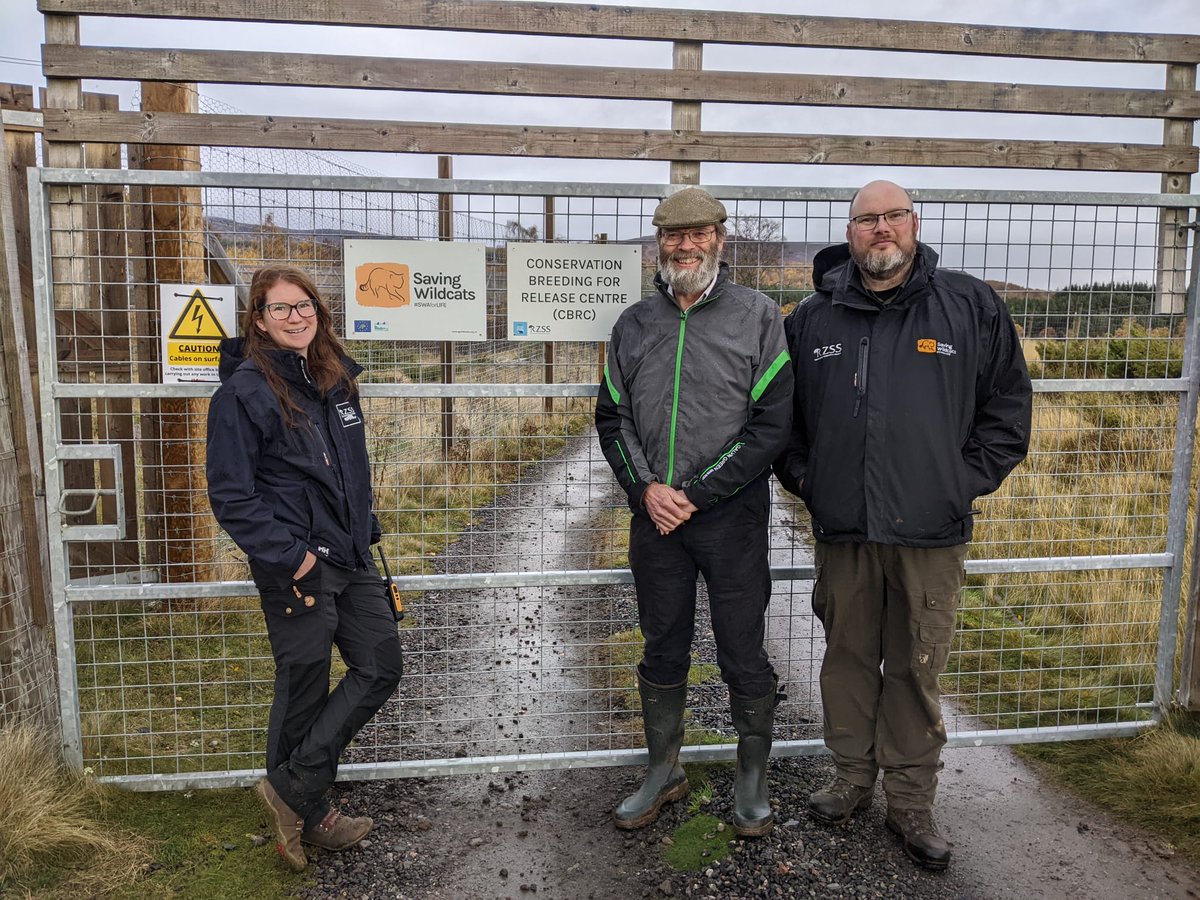 It was great to discuss our plans to restore Scotland's wildcat population with <a href="/WildCRU_Ox/">WildCRU, Oxford</a> Professor David Macdonald at our conservation breeding for release centre <a href="/HighlandWPark/">Highland Wildlife Park</a> last week 🌲

We're grateful there's so much support for evidence-based conservation projects 🧡