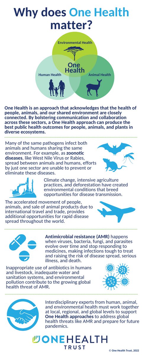 OneHealthTrust's tweet photo. It's #OneHealthDay!

Why does One Health matter? Find out in our infographic!

Learn more here:
https://t.co/nwQy5w9ZVy
#onehealth #AMR #SOSAMR #zoonoses #zoonoticdisease https://t.co/LEMcZozA8a