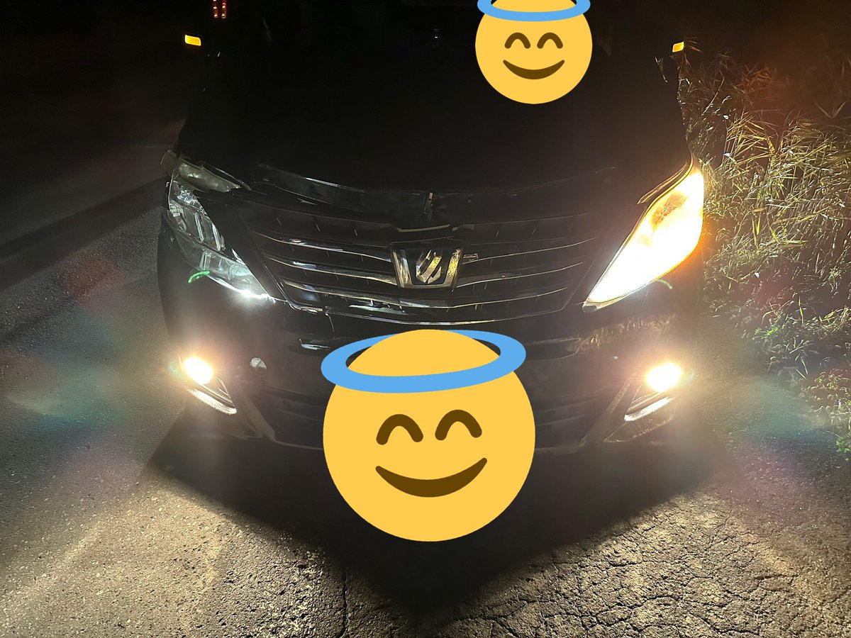 530003's tweet photo. シカには気をつけて下さい。
対向車のハイ��イトで全く見えなかった。
もののけ姫に出てくる化けもんみたいなやつ。 https://t.co/033c4rbGQu