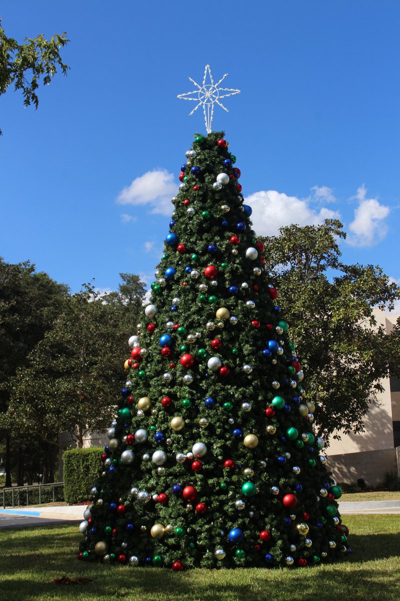 AppletonMuseum's tweet photo. Sharing a sneak peek of some of the outdoor holiday décor we've added to the grounds this year.🎄 If you visit the museum, you'll notice that most of the first floor is being decorated with The Urban Family's beloved holiday collection.

#appletonmuseum #museumtwitter #ocala https://t.co/W6qdlBCZyO