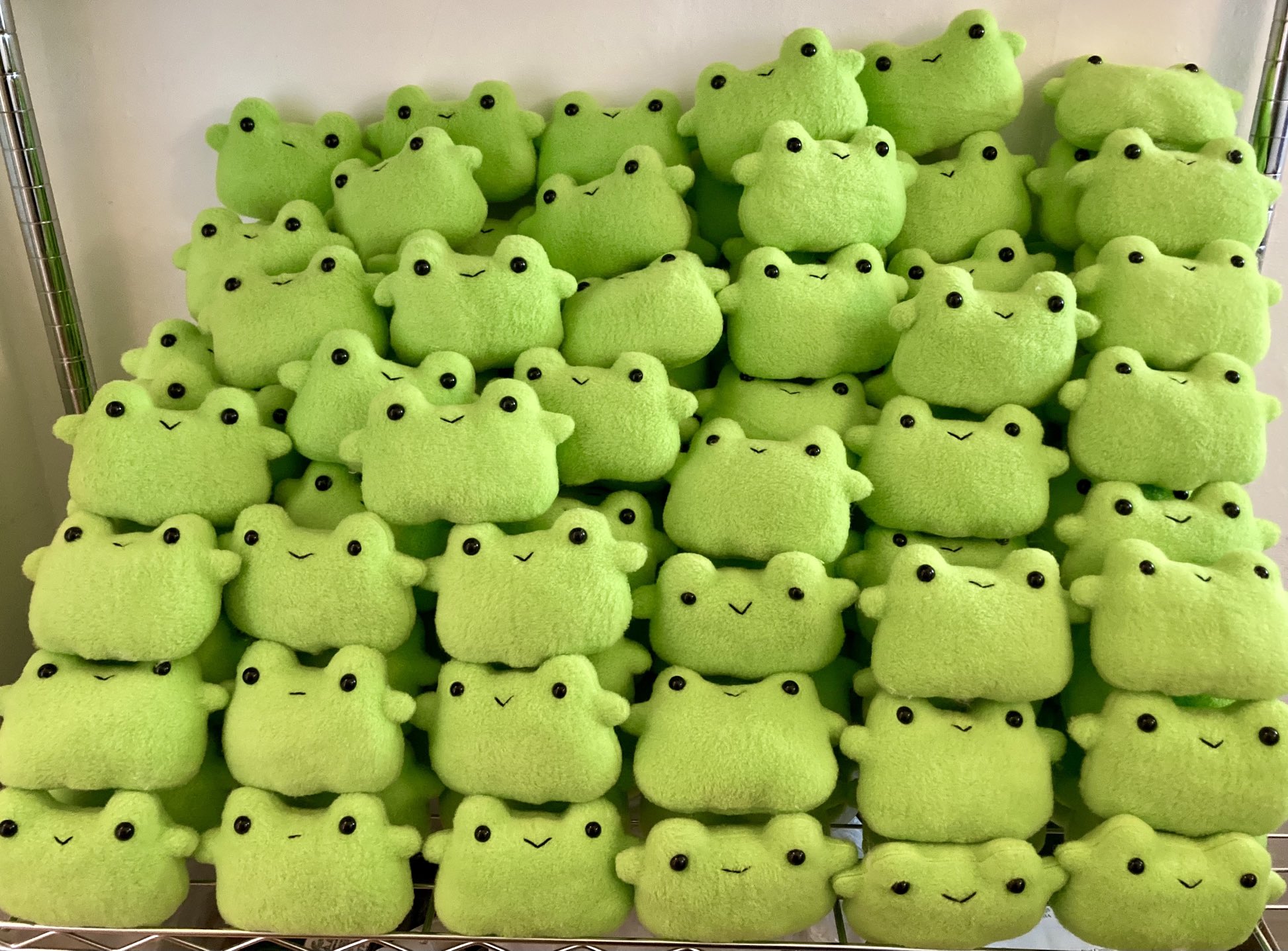 Greb Comics 🐸 on X: Family photo! 🐸🐸🐸🐸 Soup frog plushies