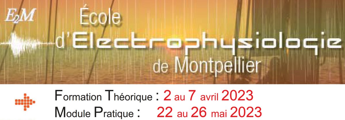 IPSiM_fr's tweet photo. #Savethedate Montpellier School of Electrophysiology  (E2M) @IPSiM4. The 2003 session is scheduled 🙂! #electrophysiology #plantscience 
▶️https://t.co/SFN8mY6g8X https://t.co/1qzk3gAReK