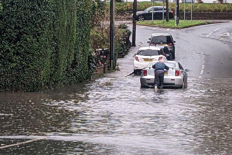 Essex Live tweet media