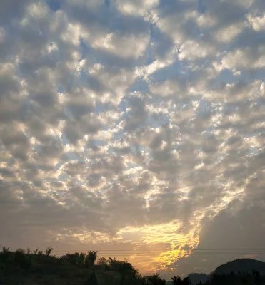 花海💗 tweet media