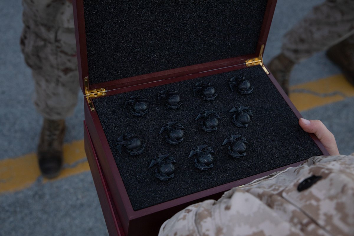 USMC's tweet photo. #Marines with Papa Company, 4th Recruit Training Battalion, receive their Eagle, Globe, and Anchor during a ceremony on @MCRDPI, Oct. 21.

The EGA is the official emblem and insignia of the #MarineCorps. 

#RecruitTraining https://t.co/Y9FuaIZr37
