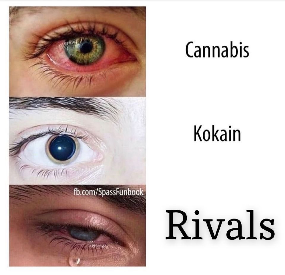 Bene Bauer (@benecr7x) on Twitter photo 