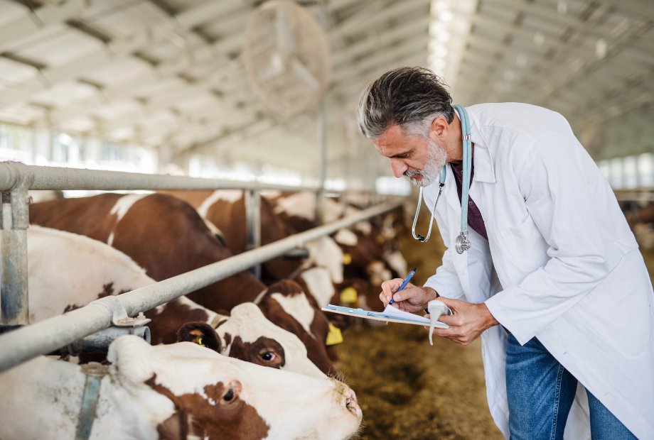 In order to lessen the adverse effects of #animaldiseases outbreaks via better preparedness, prevention and response, we encourage countries to report them to our World Animal Health Information System (#WAHIS).  

#AnimalHealth is our health. It's #EveryonesHealth.
