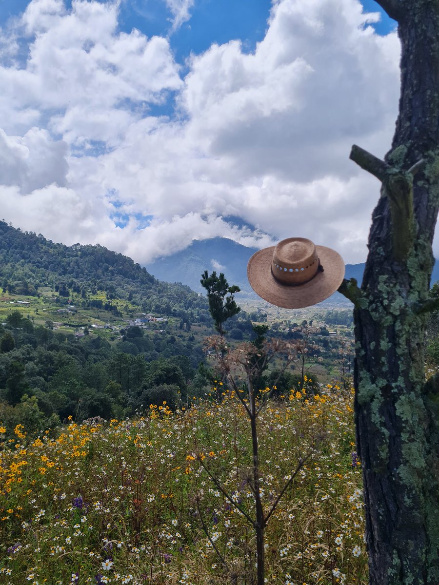 Oscarherrador_'s tweet photo. Buenos días estimados Tuiteros
Les comparto algunas fotografías tomadas por su servidor en estos días
#FelizJueves #Animooooo https://t.co/I8wHIrMrz1
