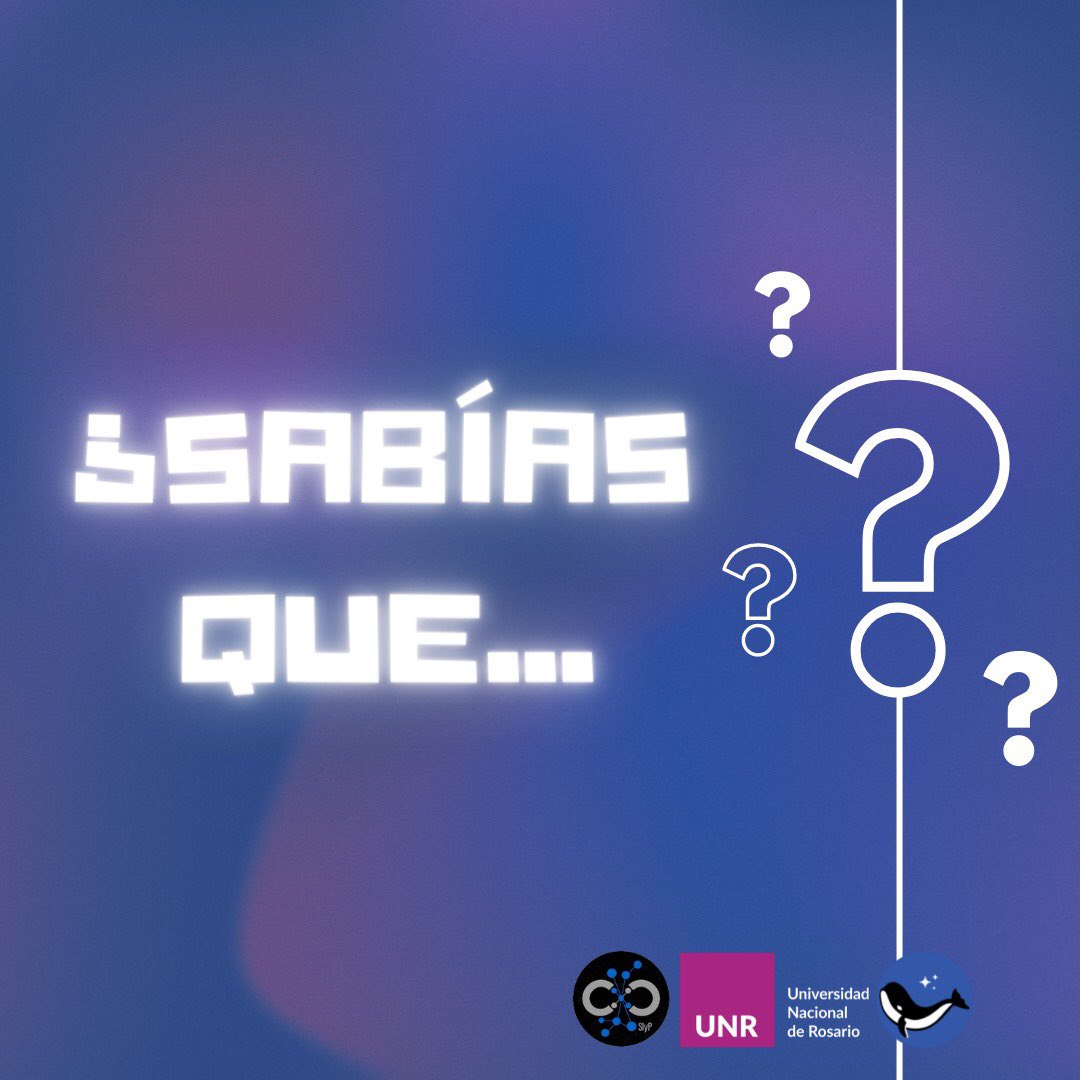 JoleneTeam's tweet photo. Buen jueves! 
Hoy traemos un dato que asusta😱

👉🏻 ¿Sabías que del total de 745 autores dados en el ciclo superior de Comunicación Social solo 202 son mujeres? 😠

#TeamJolene #HackCOMSOC #DigicomUnr https://t.co/1mVkeflTMw