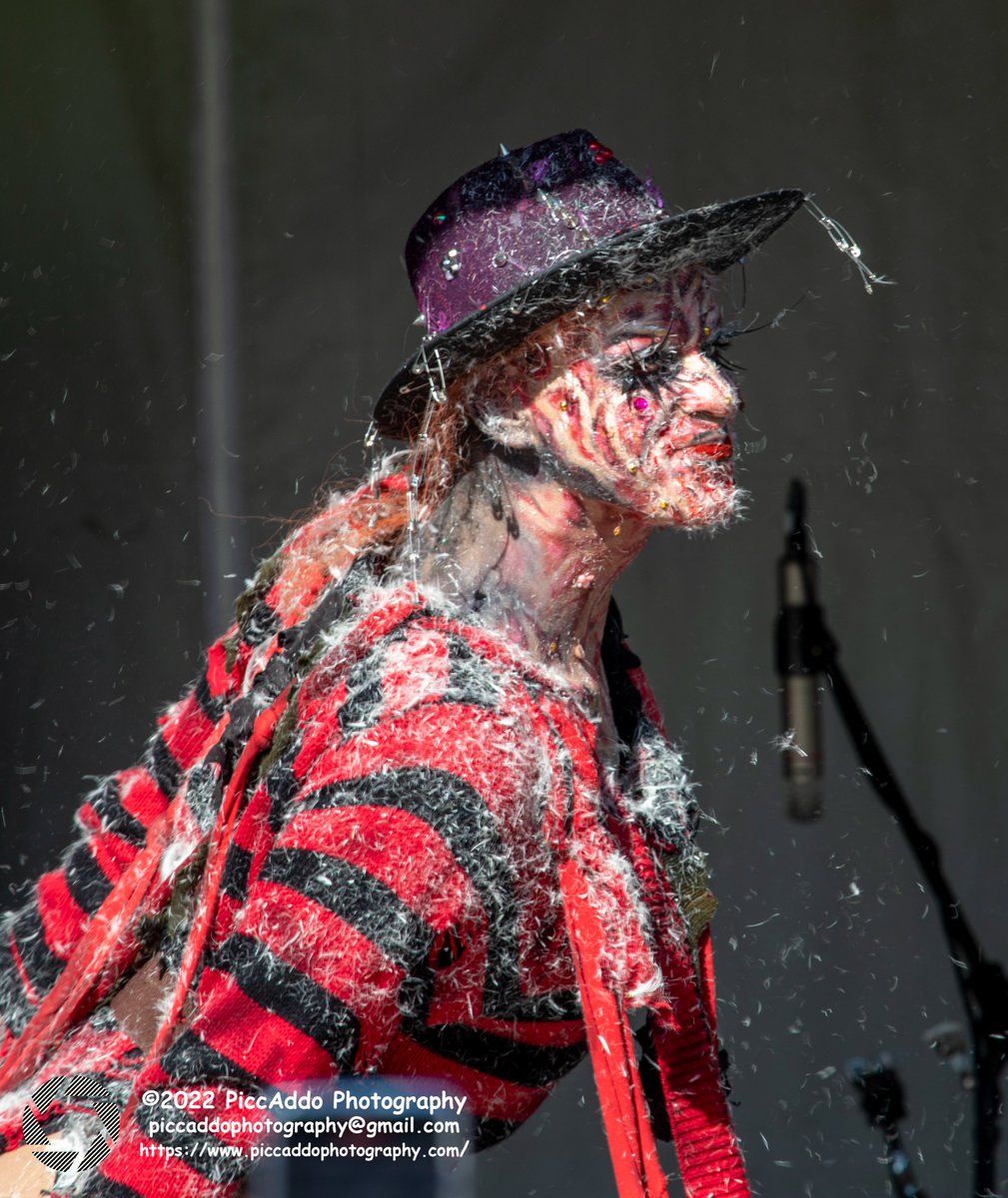 Martin S- surviving in a crazy world. tweet media