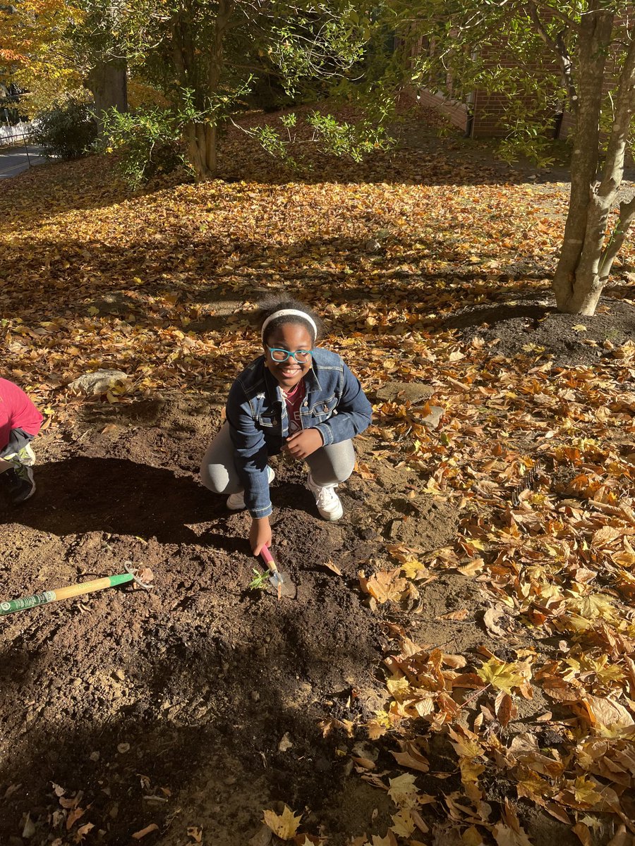 ddelduca tweet media