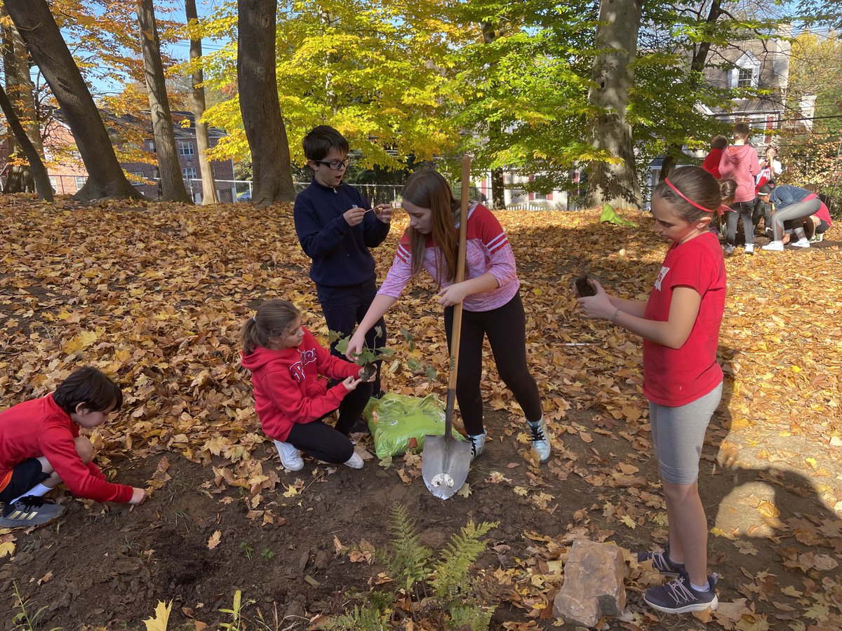 ddelduca tweet media