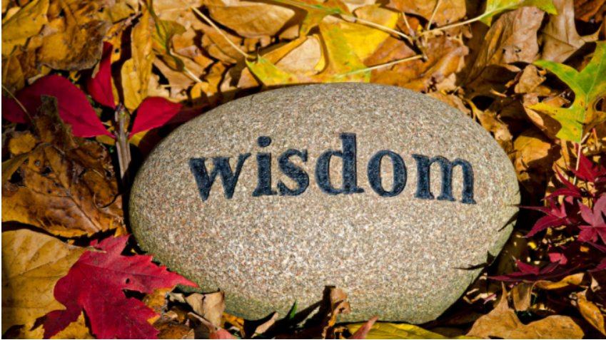 sinclairclarion's tweet photo. “Wisdom is not a product of schooling but of the lifelong attempt to acquire it.”
― Albert Einstein
One of Sinclair's wise people has spoken. Click the link in our bio to find out what he said. 
@SinclairCC  
#sinclairclarion #wordsofwisdom #education #learning #wisdomispower https://t.co/L4oe5abSlZ