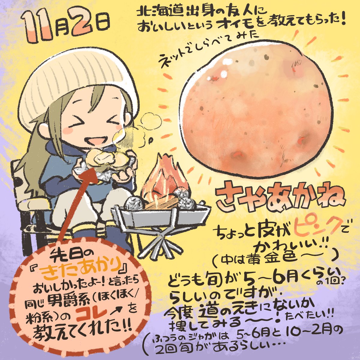11月2日。北海道出身の方に、ドライブインで食べた美味しかったお芋を教えてもらった。
初夏に旬のお芋っぽいのだけど、ちょっと探してみたいっす!

調べてたらじゃがいもの品種は55種、
ほくほく系だけでも36種類とか。品種作られ過ぎ!
あと気になってるのはインカのめざめと今金男爵です✨ 