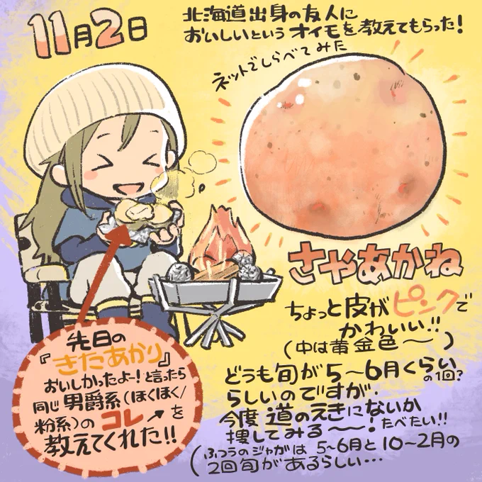 11月2日。北海道出身の方に、ドライブインで食べた美味しかったお芋を教えてもらった。
初夏に旬のお芋っぽいのだけど、ちょっと探してみたいっす!

調べてたらじゃがいもの品種は55種、
ほくほく系だけでも36種類とか。品種作られ過ぎ!
あと気になってるのはインカのめざめと今金男爵です✨ 