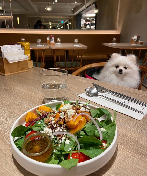 dinner for two 🥺 https://t.co/VWWc0lBCiz<a href="/tag/instagram"class="tags"><span>#instagram</span></a><a href="/tag/celebration"class="tags"><span>#celebration</span></a><a href="/tag/10k"class="tags"><span>#10k</span></a><a href="/tag/nudeart"class="tags"><span>#nudeart</span></a><a href="/tag/erotic"class="tags"><span>#erotic</span></a>
