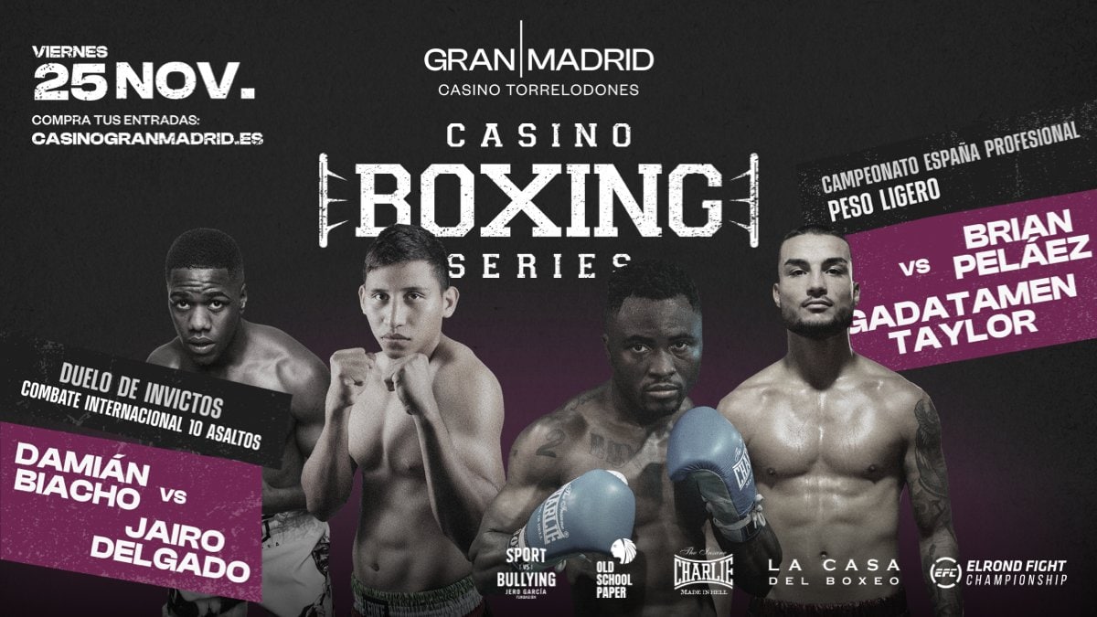 Ploxion Verse tweet media