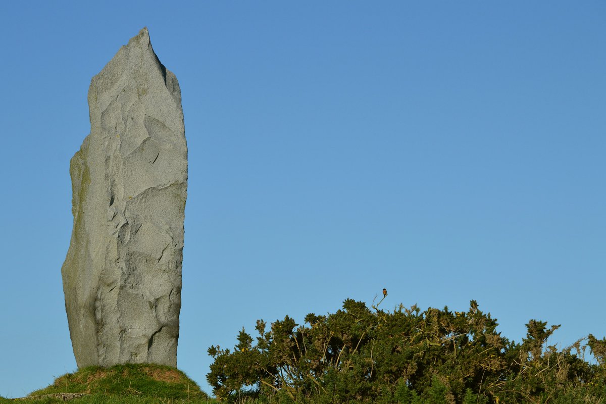 jdeeham's tweet photo. Blue skys, not a cloud at Ballyvester Beach #Donaghadee @bbcweather https://t.co/iesZOMlnLj