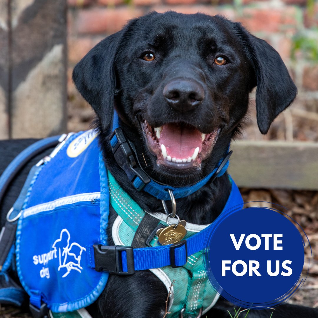 supportdogsuk's tweet photo. Help Support Dogs for FREE by voting for us in the Movement for Good 12 Days of Giving Awards 🥇

The more votes we get the higher our chances of winning a £1000 grant, which will help us to transform more lives of children and adults affected by epilepsy, autism, and disability. https://t.co/yUphoMM0IM