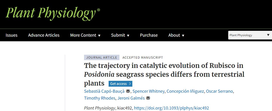 PlantMedUIB's tweet photo. Check our new article about the Rubisco of Posidonia species published in @PlantPhys!
https://t.co/xNz3394EOf

@JeroniGalmes @oserranogras https://t.co/7rjWXr9ElB