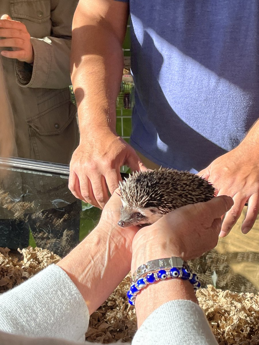 Igor Bobic tweet media