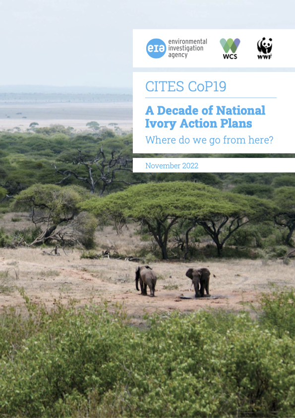 EIA_News's tweet photo. After a decade of National Ivory Action Plans, our team asks - where do we go from here?
Gearing up for @CITES we, along with @WWF and @TheWCS, call for urgent action to fix the weaknesses that undermine it.
https://t.co/KerIbFgsts
#NIAP
#CITES
#Ivory https://t.co/V47FfTVqtd