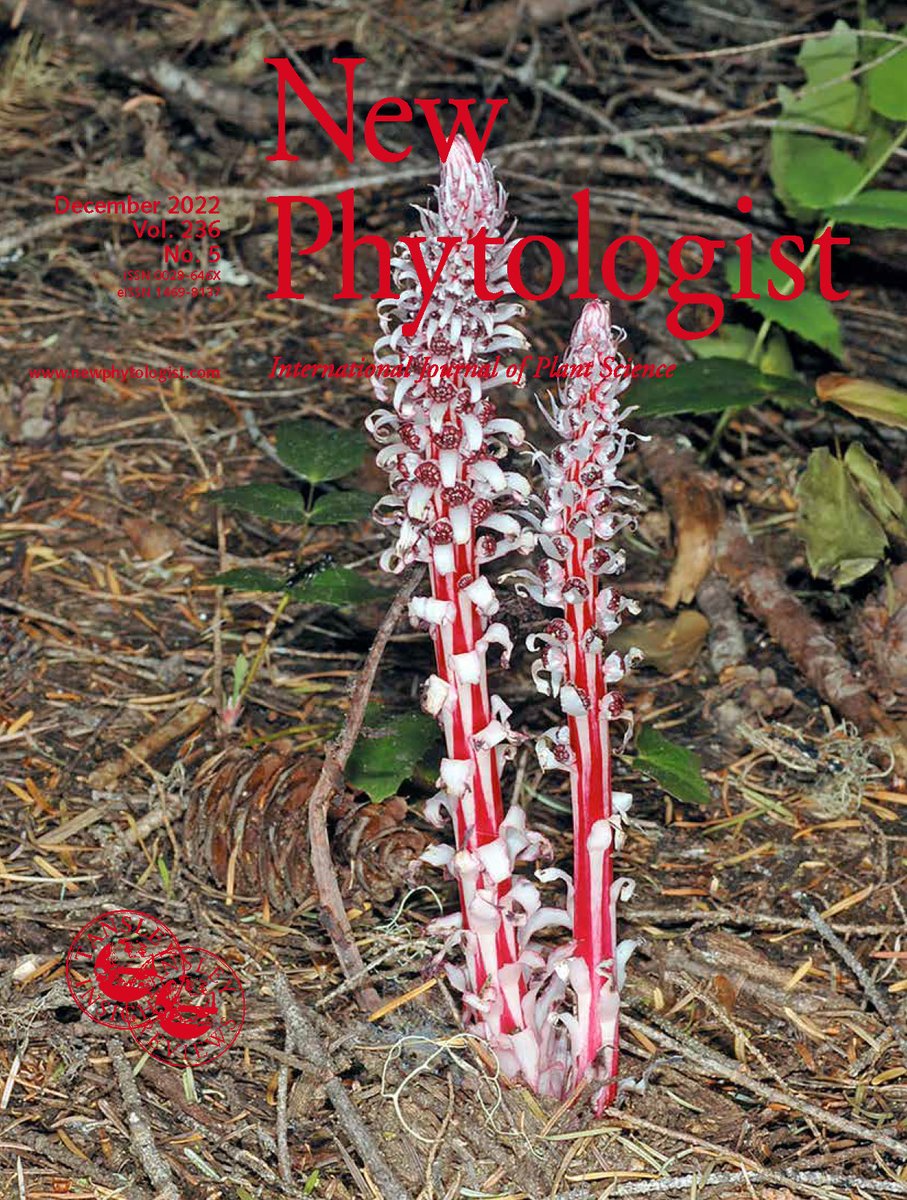 On the cover: Sugarsticks (Allotropa virgata): nonphotosynthetic plants that obtain nutrients indirectly from neighbouring green plants, through mycorrhizal #fungi. Image courtesy of Gerald D. Carr (Emeritus Professor of Botany, @OregonState). 📖 ow.ly/HMFI50LsVB0