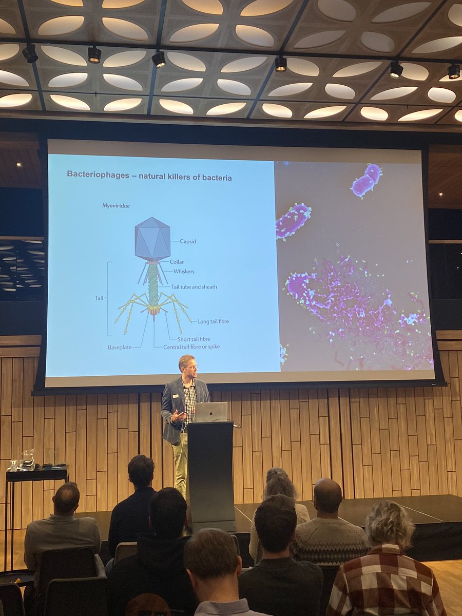 Dr Stan Brouns <a href="/tudelft/">TU Delft</a> <a href="/StanBrouns/">Stan Brouns</a> on phage therapy and host resistance mechanisms. <a href="/ncohnl/">onehealth</a> #AntimicrobialResistance