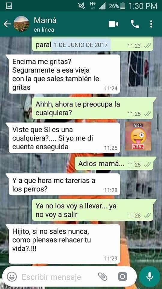 Pepitips's tweet image. 