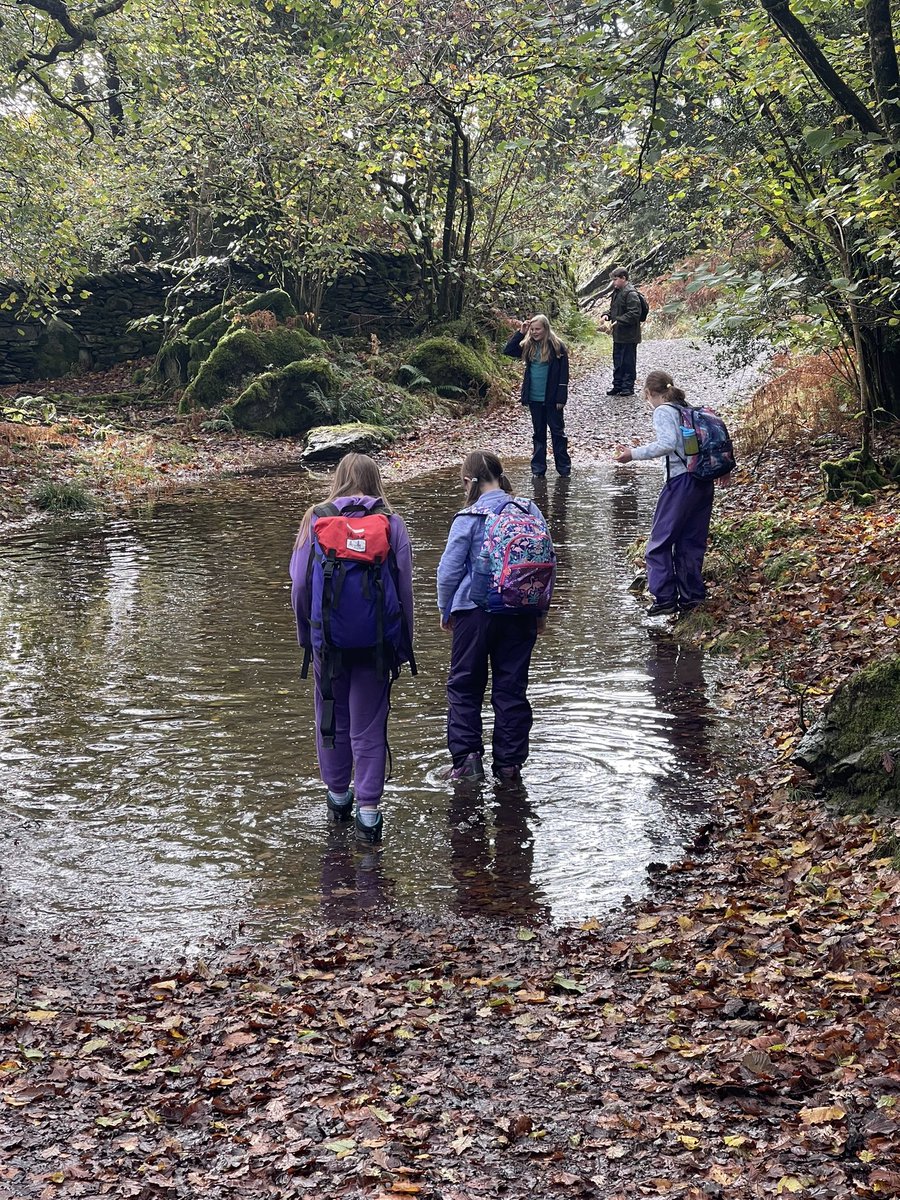 BLSLakeside2022 tweet media