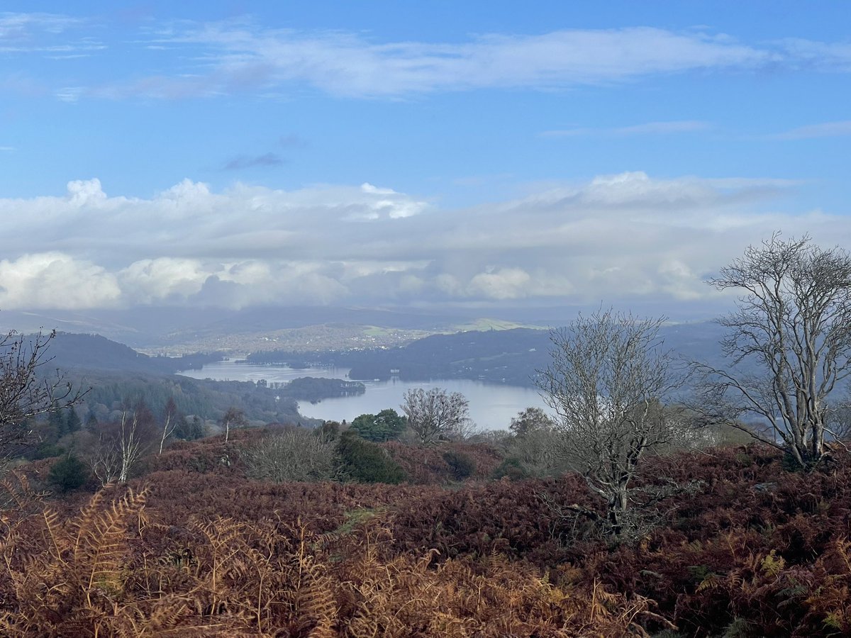 BLSLakeside2022 tweet media