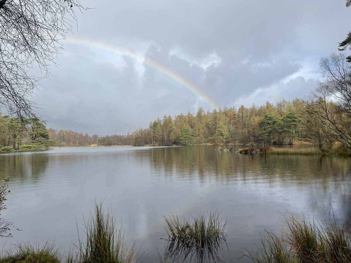 BLSLakeside2022 tweet media