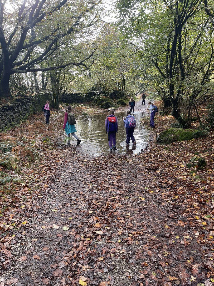 BLSLakeside2022 tweet media