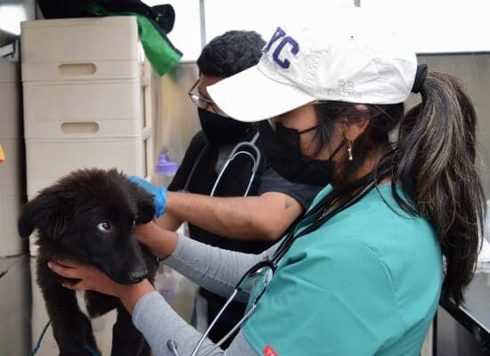 Globalteer is an award-winning UK charity that works to empower communities to affect long term change. #charity #nonprofit 
bit.ly/3l8UtIF