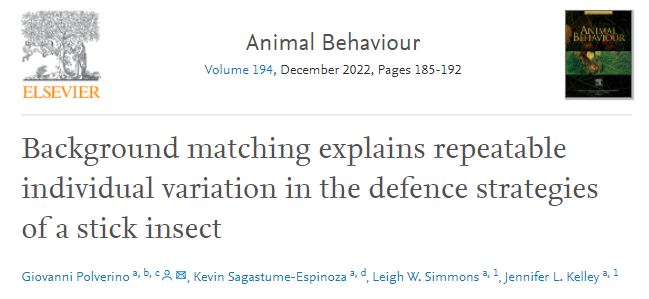 AnimBehSociety's tweet image. "Does prey behaviour depend on an individual's perceived vulnerability?"
Giovanni Polverino et al. test whether background matching affects the defence strategies of stick insects.
#adaptivecoloration #animalpersonality #camouflage #crypsis
For more info:
sciencedirect.com/science/articl…