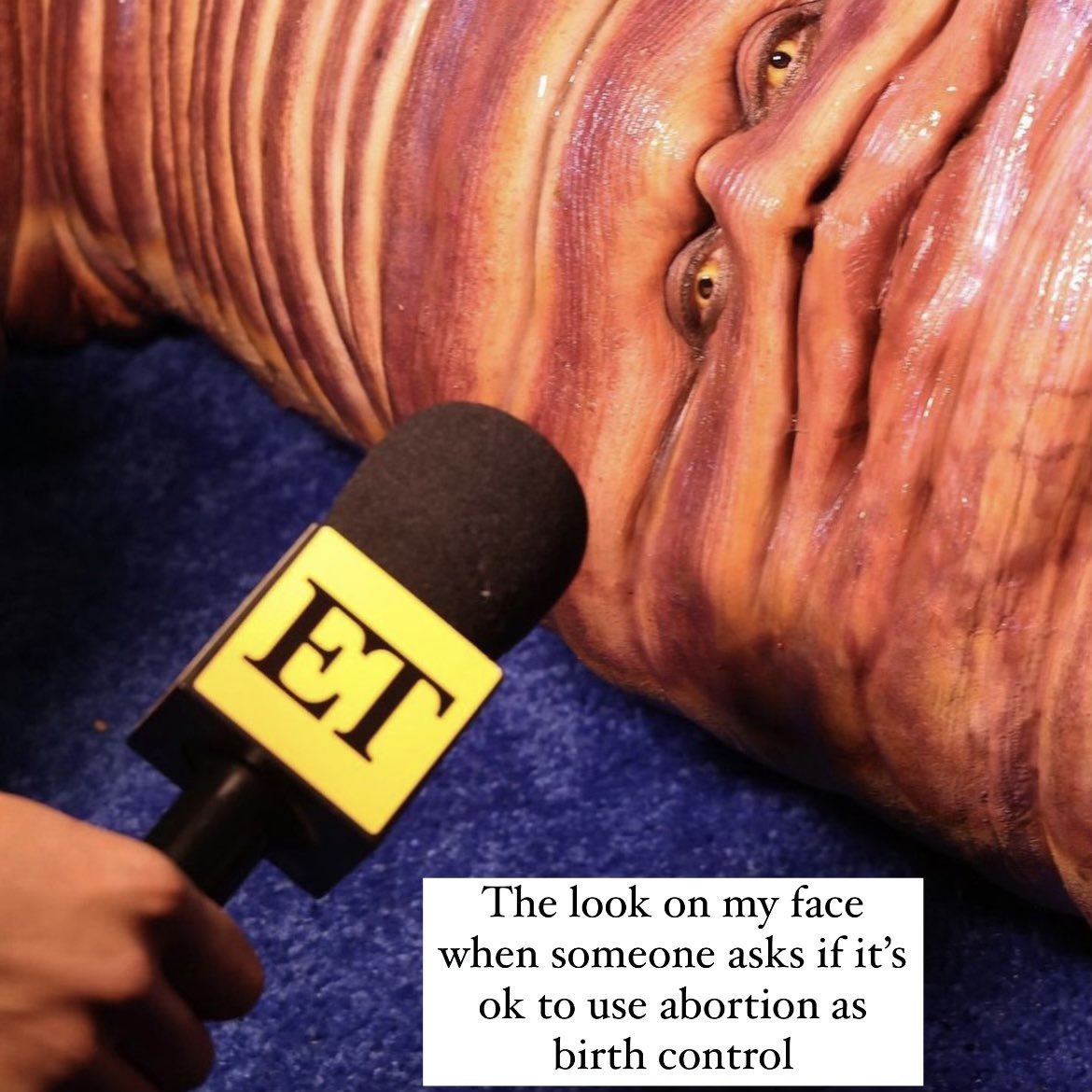 Feminist Flag Corps tweet media