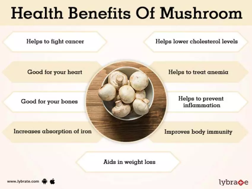ThinkHealthyMe3's tweet photo. Look at some of the benefits of Mushrooms. I will be sharing this with our Thanet Diabetes Self-Care Group tonight! https://t.co/WQv6KMLSQA