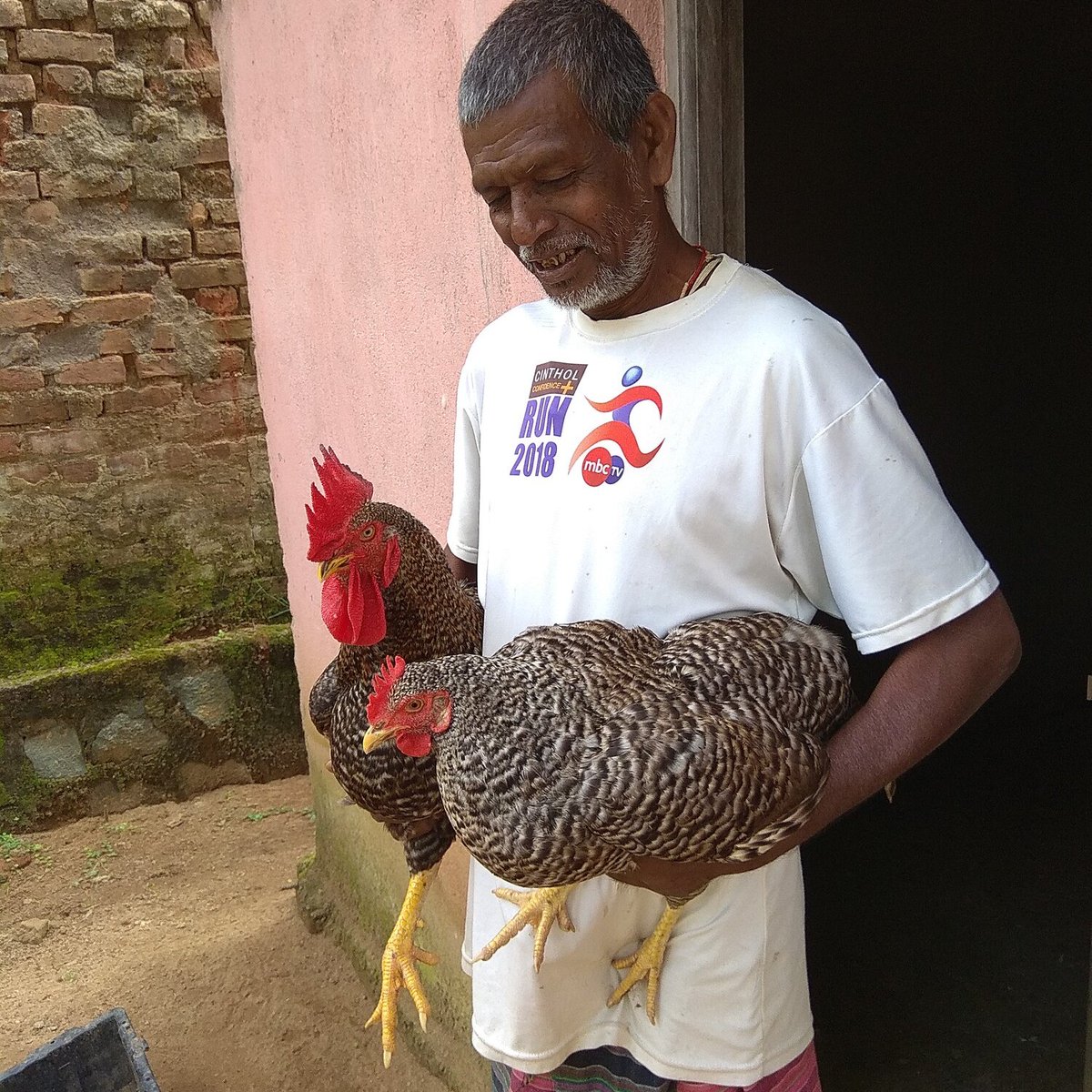 For a little more than $8, you can boost earnings for families around the world. Chickens provide a source of eggs and meat as well increase a families' monthly income.

Gift a chicken this Christmas. Visit mcc.org/christmas for more details.

#mccpeace #MakeADifference
