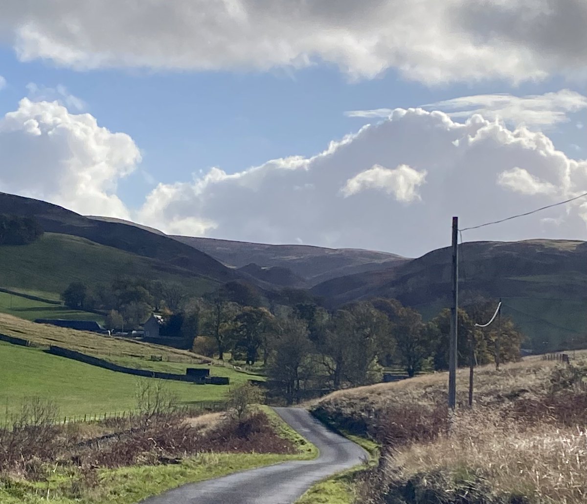 Julie Elizabeth 💙 #RejoinEU 🇺🇦 tweet media