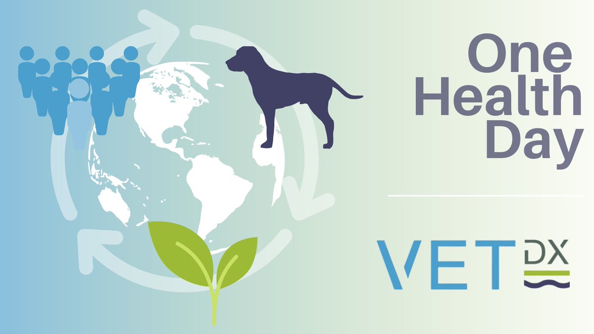 It's #OneHealthDay🌏 

VetDX is a joint venture between #humanhealth company <a href="/pd2xhealth/">Personalised Diagnostics</a>  and #veterinary research organisation <a href="/RAFTsolutions/">RAFT Solutions Ltd</a> ; combining human and #animalhealth, aligning with the #onehealth initiative to create innovative technology.
🔗vetdxs.com