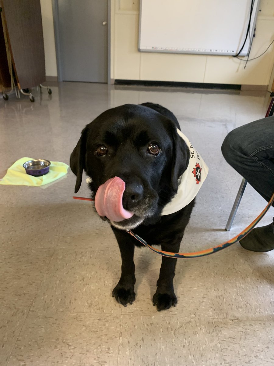 We had a lovely visit from <a href="/SJA_NL/">St John Ambulance NL</a> therapy dog Winston here at Horizon Academy today 🐾 <a href="/NLESDCA/">NLESD</a>