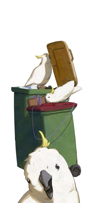Thursday payday -  vol.15"Wheelie bins raiding party"-----------#Australia #painting #illustrationart 