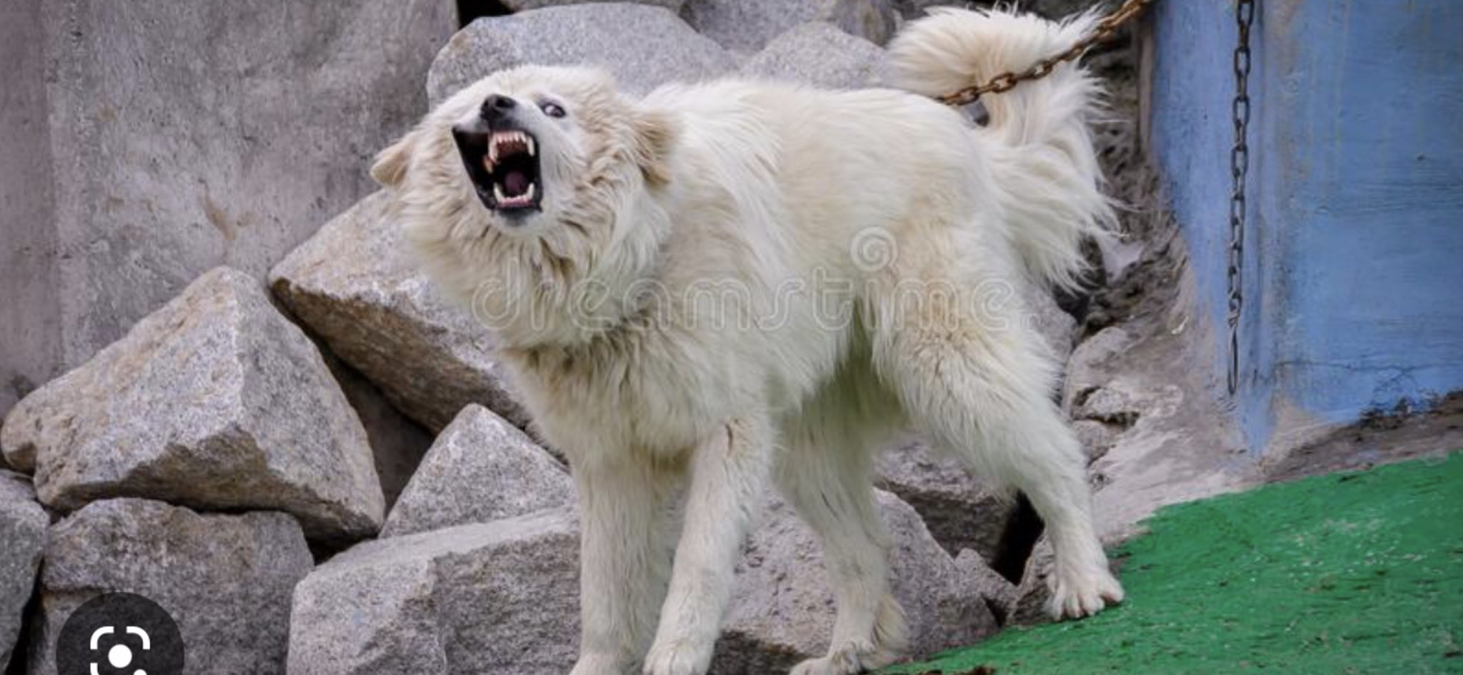 SonyaLea H. Zweig on Twitter: "@____B_S____ OMG! That’s a GP, in a