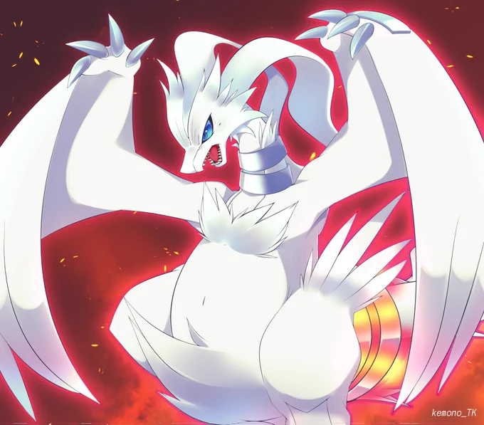 #いい推しの日いつだってレシラムが最推しだもんね 