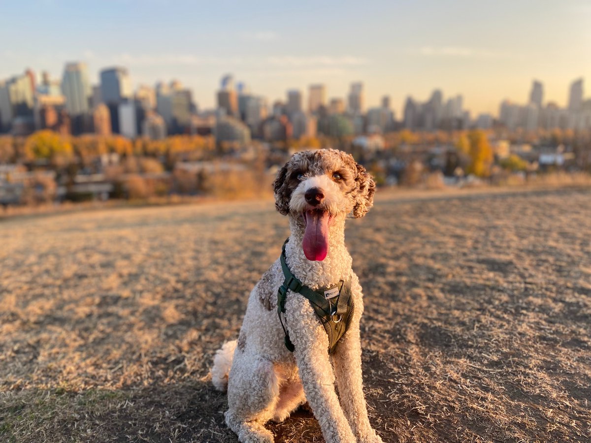 Erica McKenzie tweet media