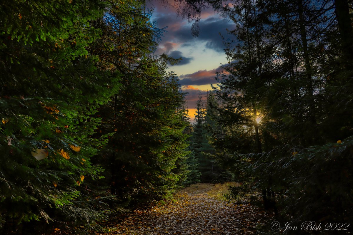 Good Morning Y'all... Have a great day!!... Be safe... 👍✌️🙏

Mountain life... 🥰🥰⛰️⛰️

Canon EOS 90D - f/4, 1/100 sec, ISO-100, 18 mm

#Canon #Canon90D #Fall #BlessedAndGrateful #PNW #Mountainlife