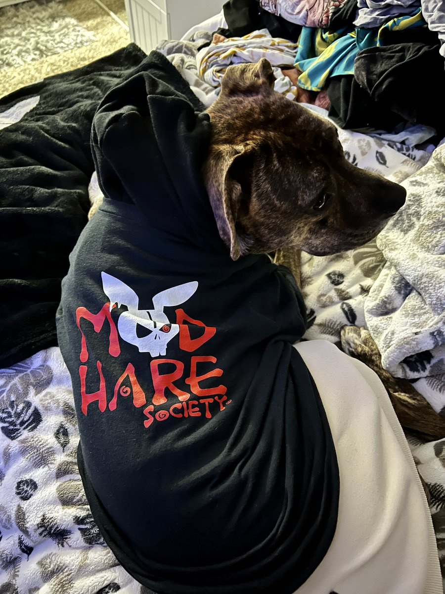 Von_Morpheon's tweet photo. GM⚡️GN to all‼️ Kobe-Chachi 💜loving💛 his merch🤣
@PsychoKittiesOG @MadHareSociety @Ugonzo_art @ElRealGenius #psychokitties #madharesociety #psychomollies #GenQ #PsychoKittyBaby #MadHareBaby #1kPK #1kPM #1kMH  #1kGenQ #PK4LIFE #MH4LIFE https://t.co/eMuZJaxUKh