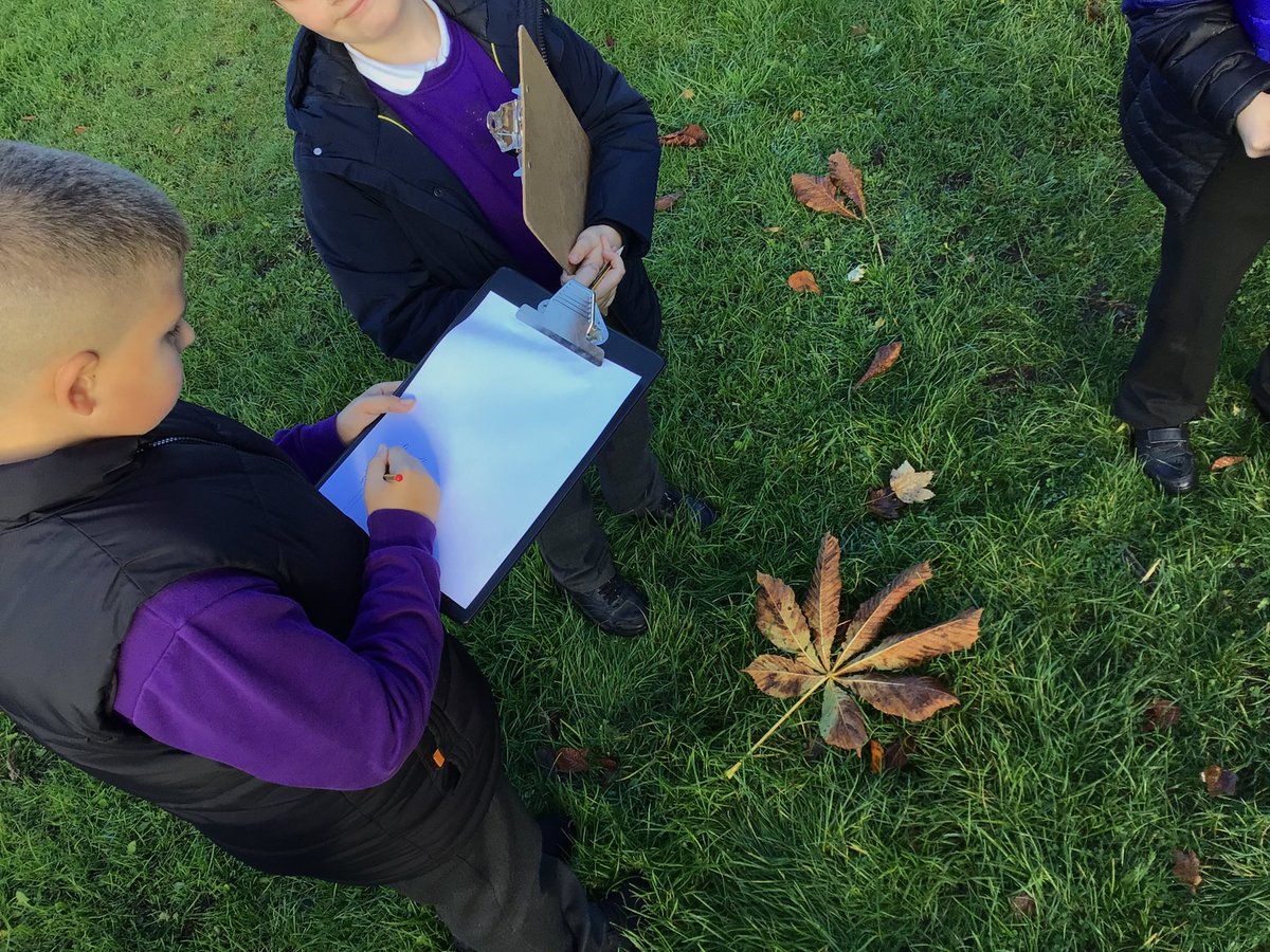 bedlingtonstationprimary tweet media