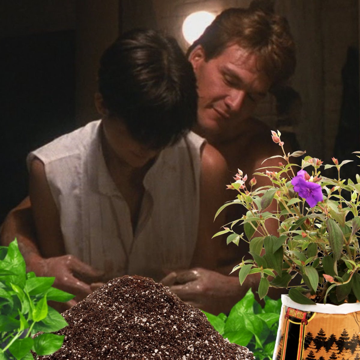 The best scene in Ghost was when Sam taught Molly how to plant directly into Royal Gold bags. Classic
.
.
.
.
#royalgoldsoil #ghostmovie #coupleswhogardentogether #gardeningtips #plantinbag #humboldtcounty